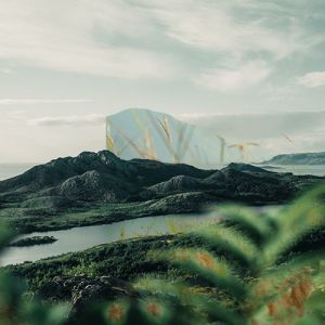 15 (Demo)